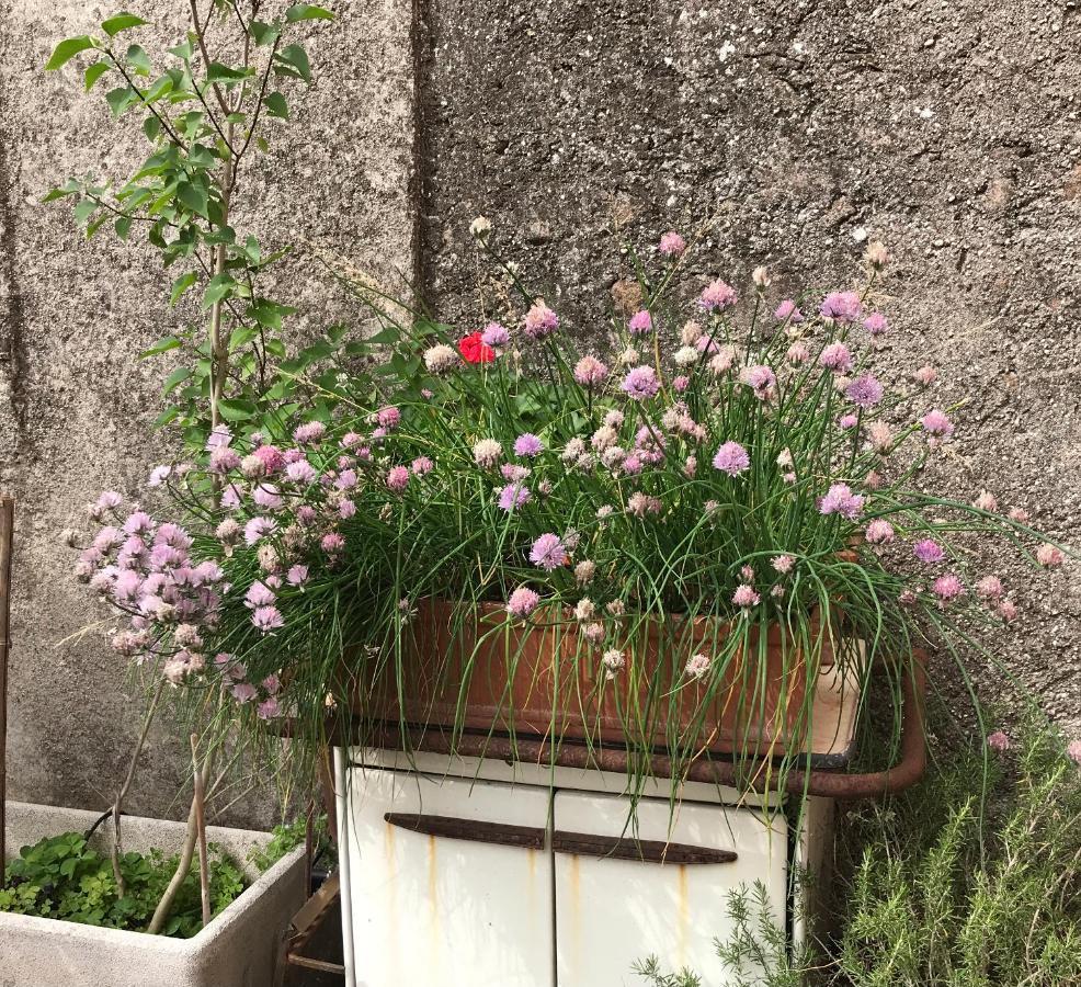 Una Casa Di Campagna Dossobuono Exterior photo